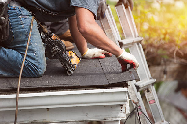Best Roof Gutter Cleaning  in Clarks Green, PA