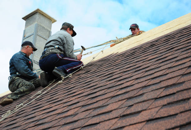 Best Gutter Installation and Roofing  in Clarks Green, PA
