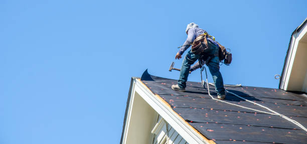 Best Roof Gutter Cleaning  in Clarks Green, PA